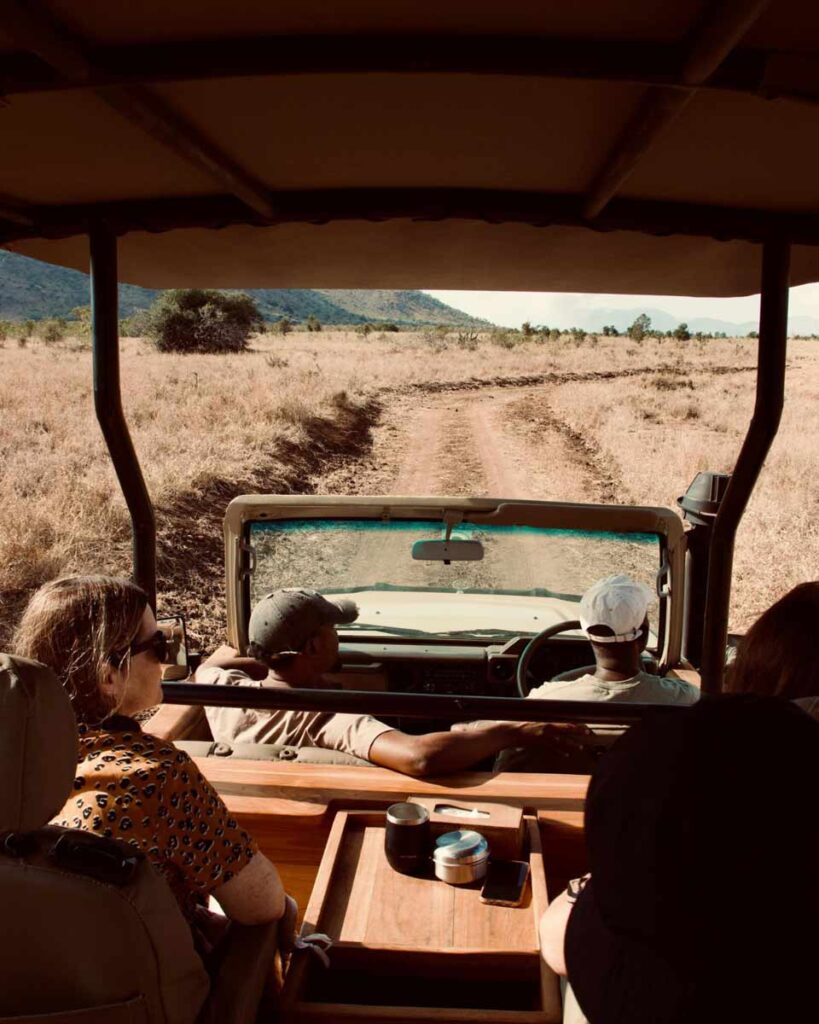 A view from the back of a safari jeep, of two travellers sitting on the passenger's seats, a driver and a guide in the front seats, and the road ahead.