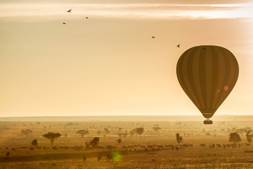 A balloon flying over Serengeti at sunrise
