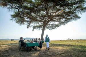A group of tourists having breakfast under a tree, in a national park.